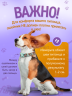 Ошейник для собак Furry мятный, ширина 15мм, 24-36см