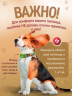 3-WB Ошейник для собак Furry зелёный, ширина 20мм, 35-51см