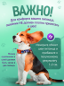 3-WB Ошейник для собак Furry оранжевый, ширина 20мм, 35-51см